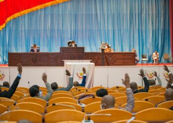 Les incompatibilités aux mandats des députés