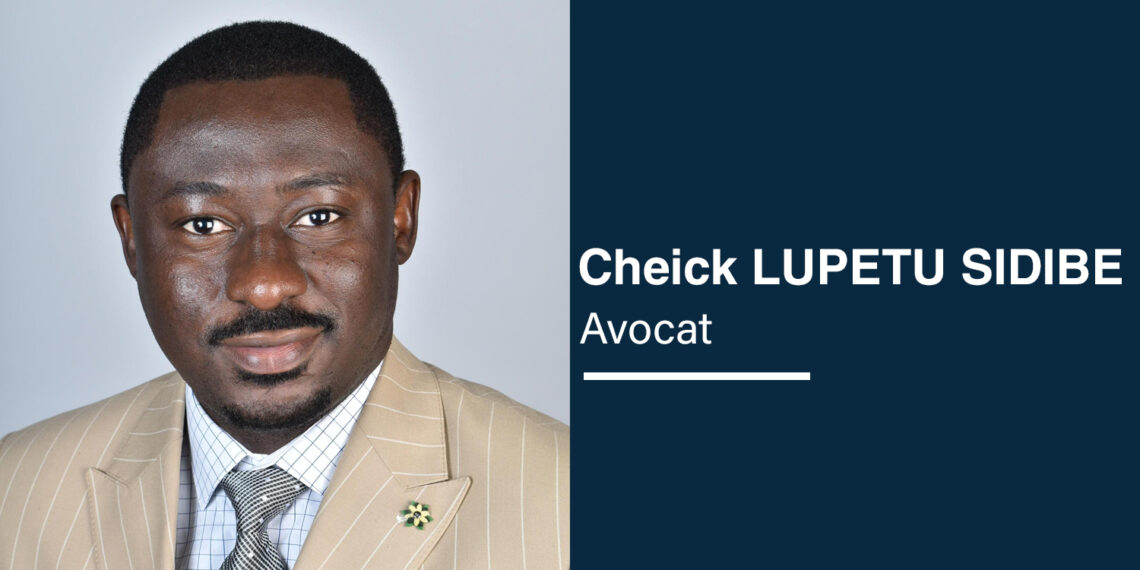 Le renforcement du contrôle obligatoire des assurances : enjeux et perspectives de développement du secteur