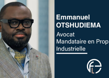 Secteur électrique en RDC : opportunités d’investissement et contraintes juridiques d’exploitation