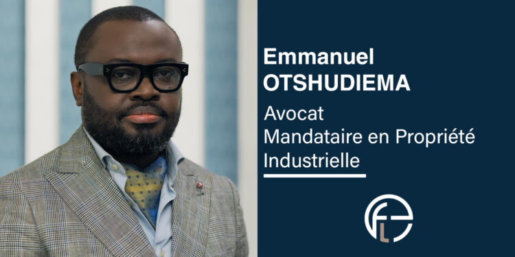 Secteur électrique en RDC : opportunités d’investissement et contraintes juridiques d’exploitation