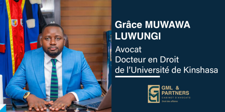 Secteur électrique en RDC : opportunités d’investissement et contraintes juridiques d’exploitation